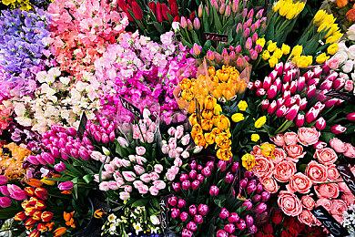 《传颂之物》月底举行特别直播活动 介绍多款游戏